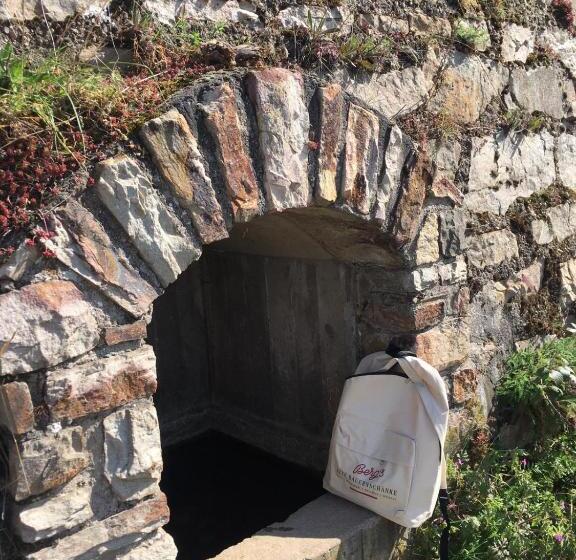 Отель Berg´s Backpacker