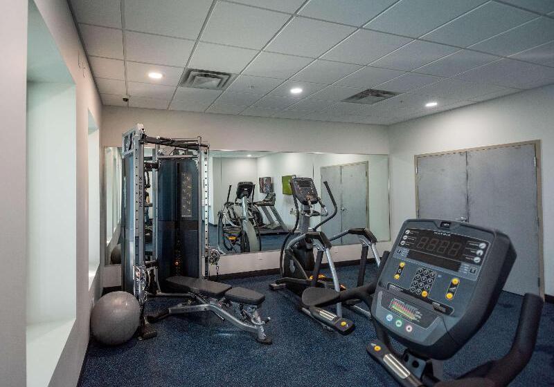 בית מלון כפרי Best Western Premier Executive Residency Medicine Hat