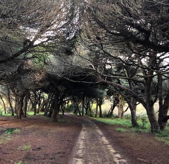 Отель Hortas Do Rio   Casa De Campo