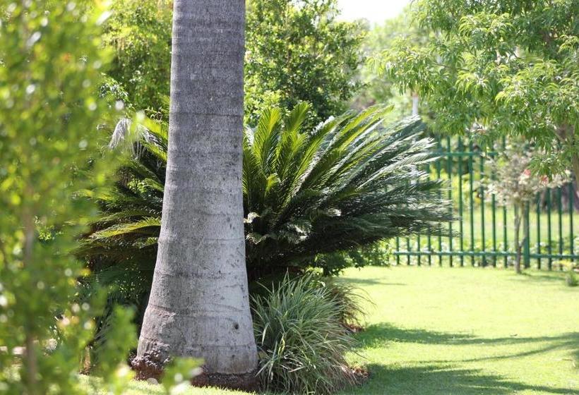 بنسيون El Palmar Guesthouse