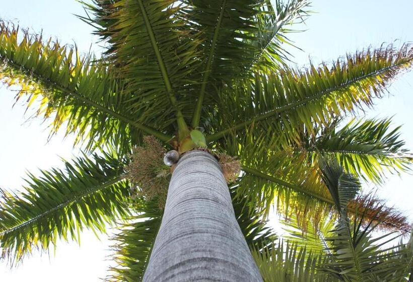 펜션 El Palmar Guesthouse