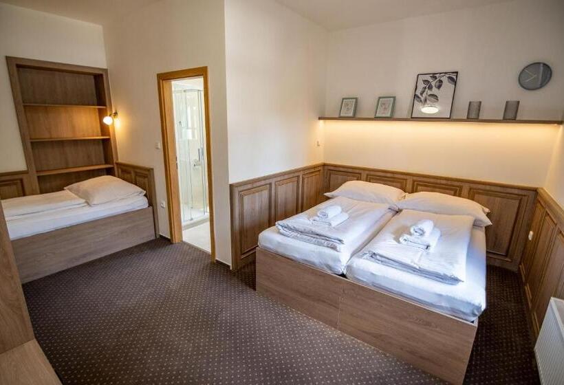 פנסיון Penzion Elux