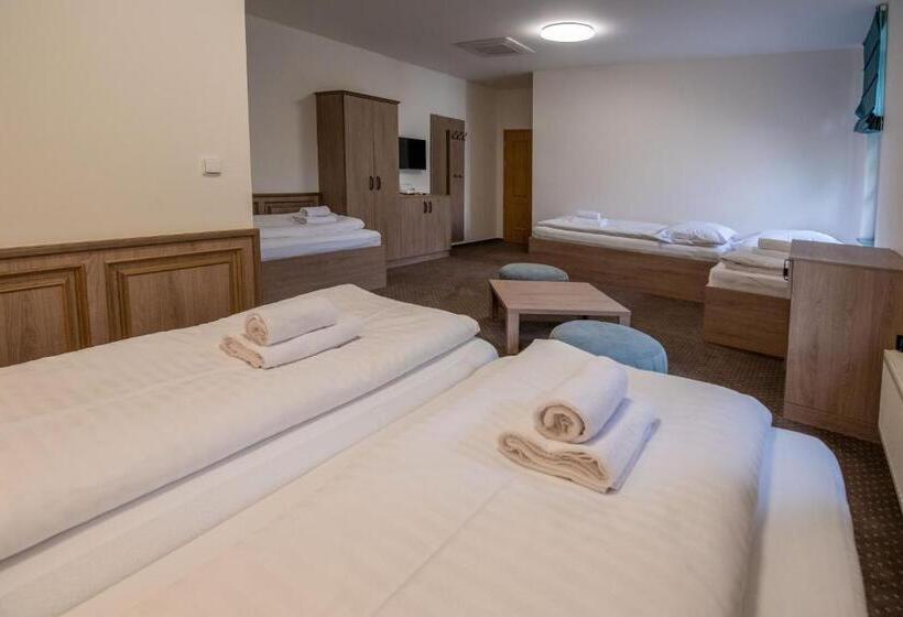 פנסיון Penzion Elux