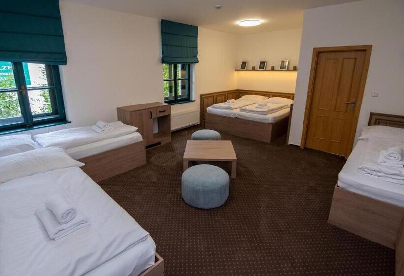 פנסיון Penzion Elux