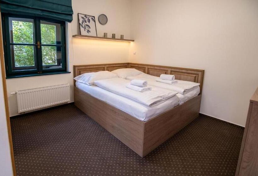 פנסיון Penzion Elux