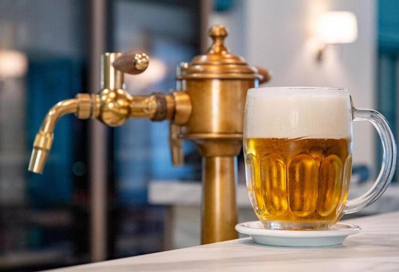 פנסיון Penzion Elux