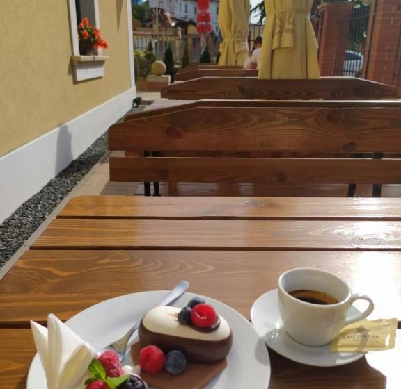 פנסיון Penzion Elux