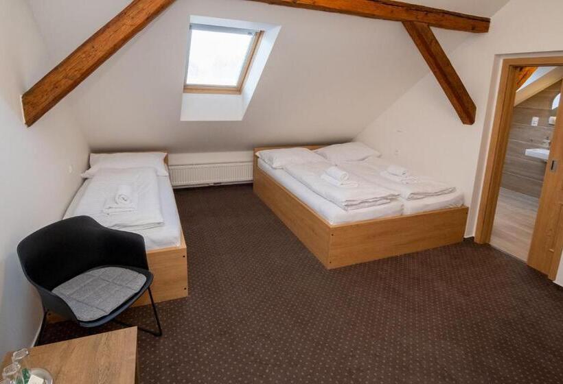 פנסיון Penzion Elux