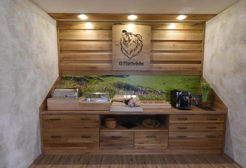 بنسيون Penzion U Medvěda