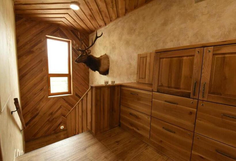 بنسيون Penzion U Medvěda