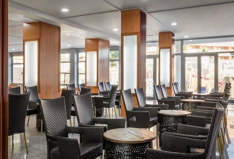 ALEGRIA Fenix Family