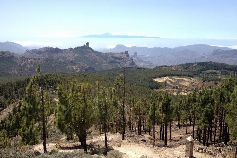 Apartamentos Balcón de Taurito