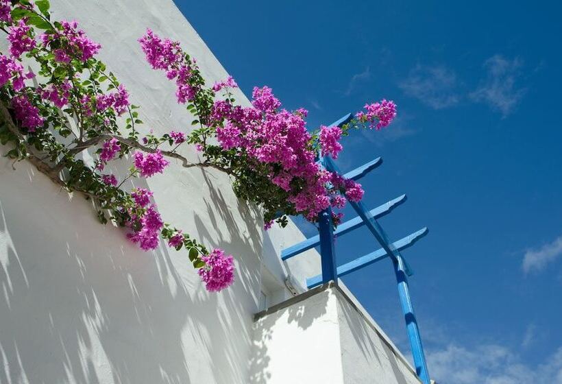 Apartamentos Parque Tropical En Lanzarote