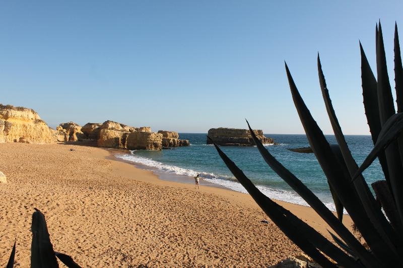 客栈 Torre Velha Al