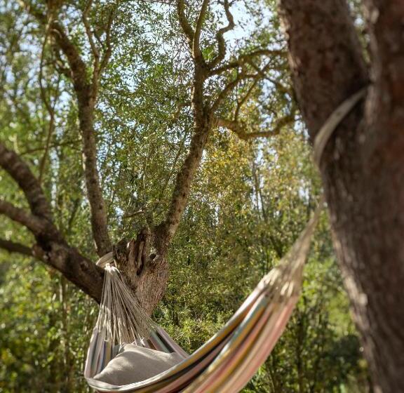 ホテル Agroturismo Son Fogueró   Adults Only