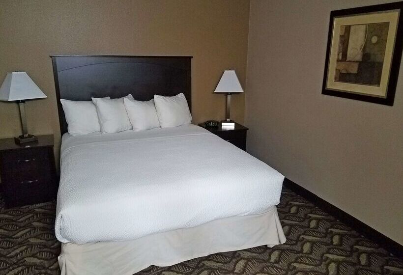 בית מלון כפרי Americas Best Value Inn And Suites Bismarck