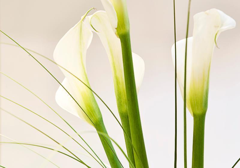 فندق Arion Athens