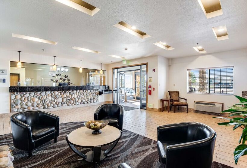 فندق Best Western Firestone Inn & Suites