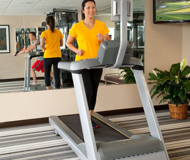 فندق Sonesta Simply Suites San Antonio Nw