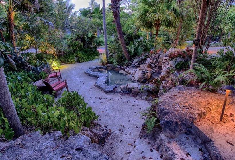 فندق Casa Morada