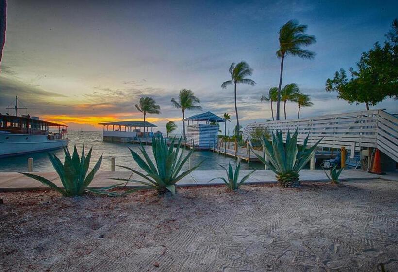 فندق Casa Morada