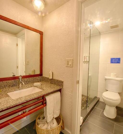 فندق Casa Morada