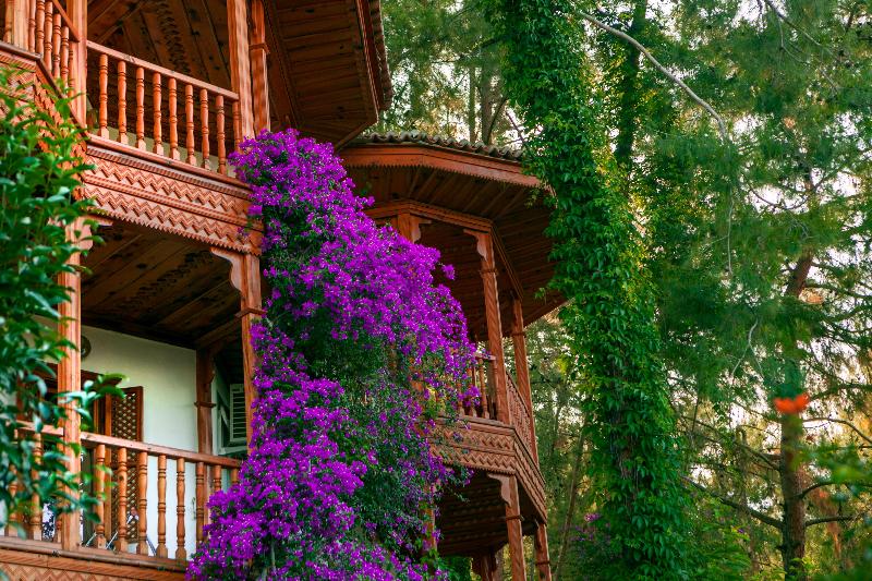 Club & Hotel Letoonia