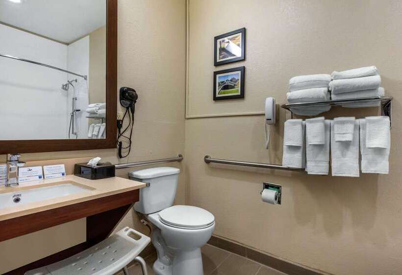 酒店 Comfort Inn & Suites Montgomery East Carmichael Rd