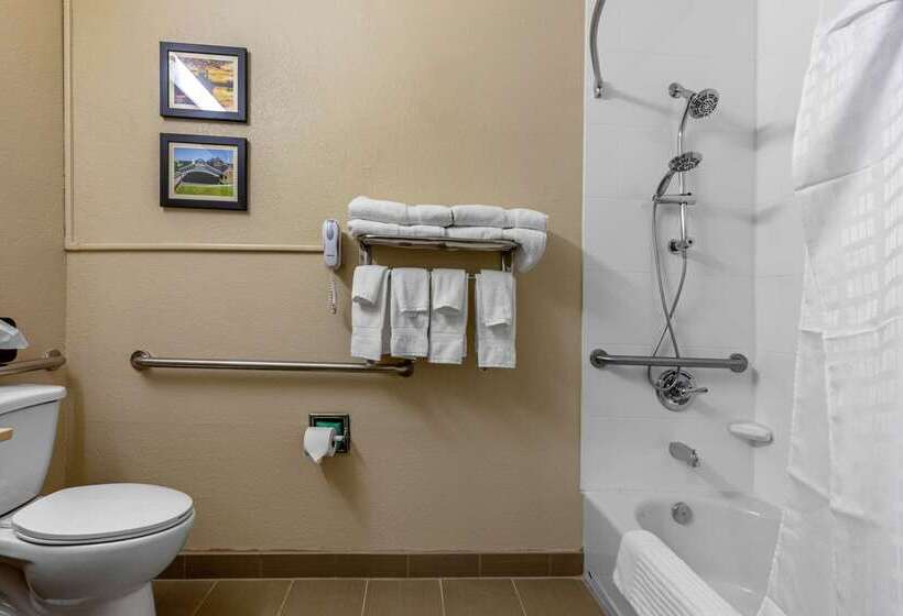هتل Comfort Inn & Suites Montgomery East Carmichael Rd