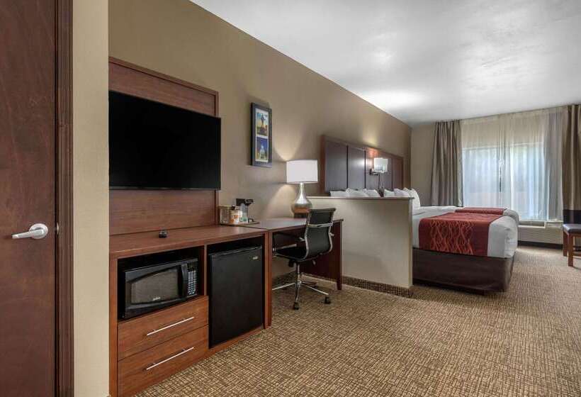 酒店 Comfort Inn & Suites Montgomery East Carmichael Rd