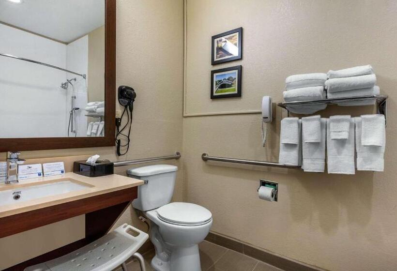 酒店 Comfort Inn & Suites Montgomery East Carmichael Rd