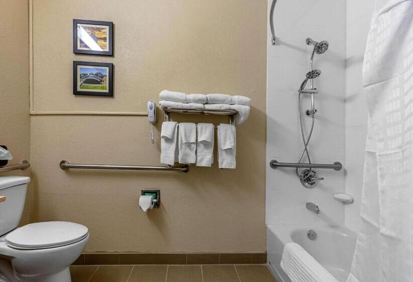 酒店 Comfort Inn & Suites Montgomery East Carmichael Rd