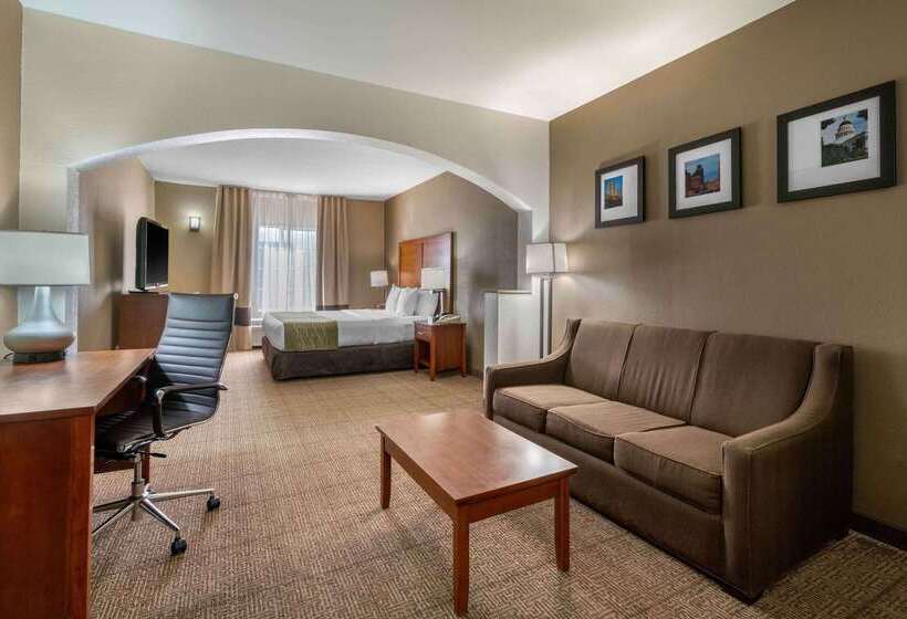 فندق Comfort Inn & Suites Sacramento   University Area