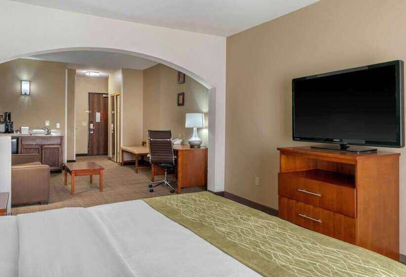 فندق Comfort Inn & Suites Sacramento   University Area