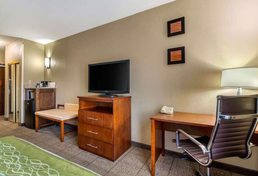 فندق Comfort Inn & Suites Sacramento   University Area