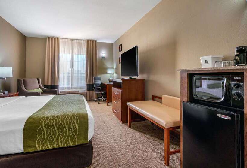 فندق Comfort Inn & Suites Sacramento   University Area