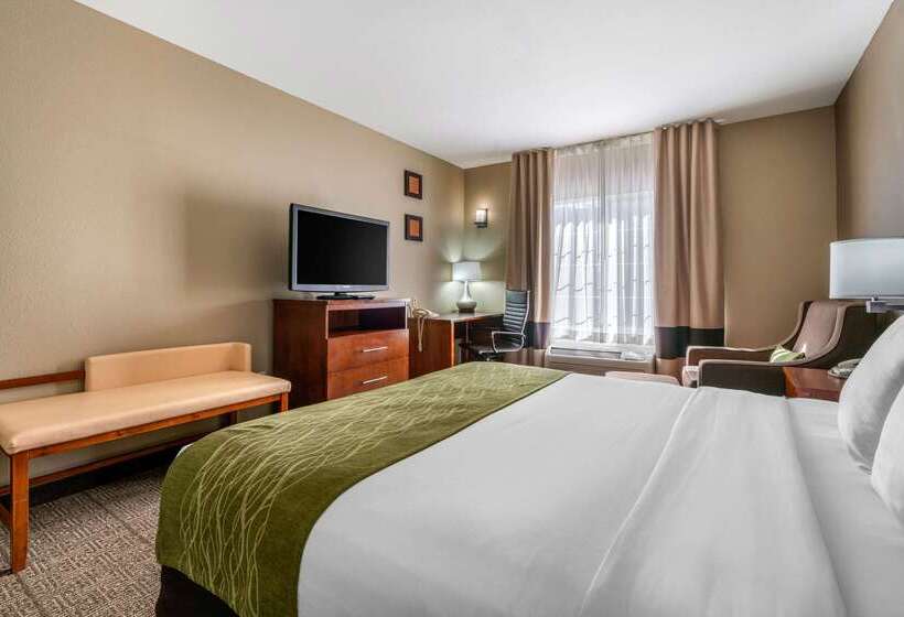 فندق Comfort Inn & Suites Sacramento   University Area