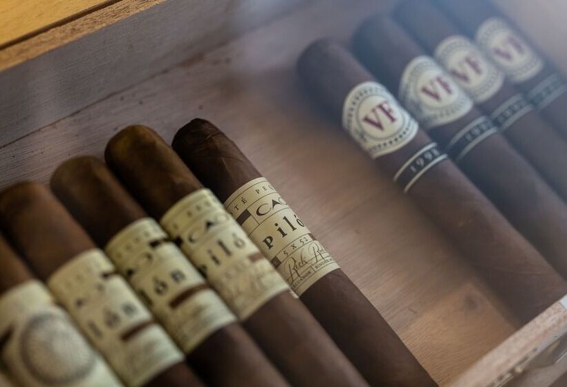 Отель De L'univers