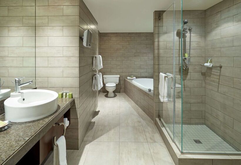 בית מלון כפרי Doubletree By Hilton Montreal