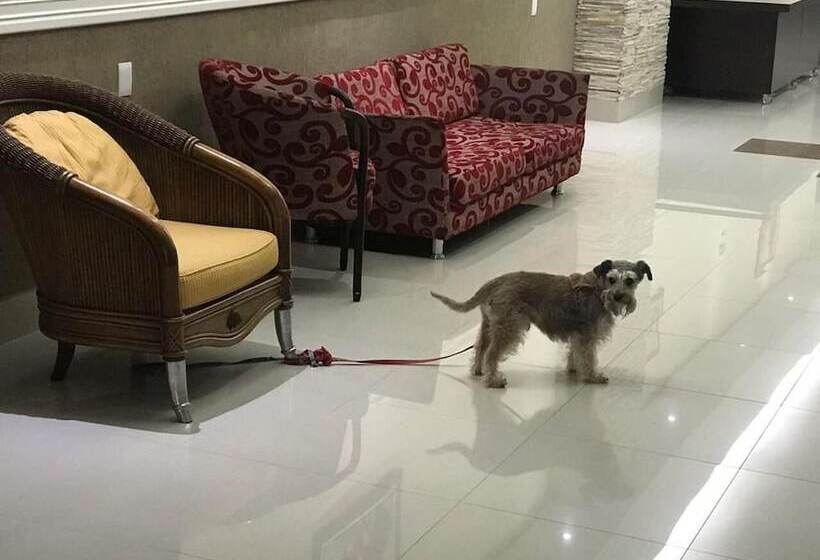 Отель Estação Express