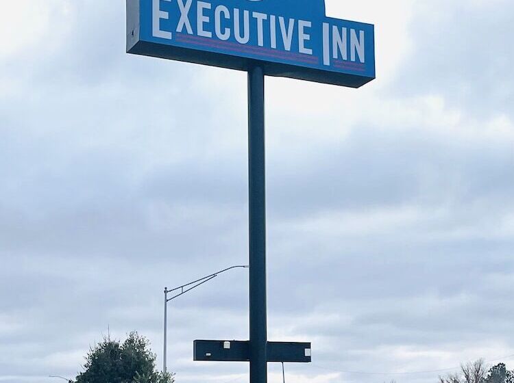 בית מלון כפרי Executive Inn