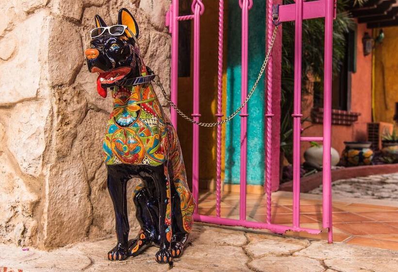 בית מלון כפרי Hacienda Maria Bonita