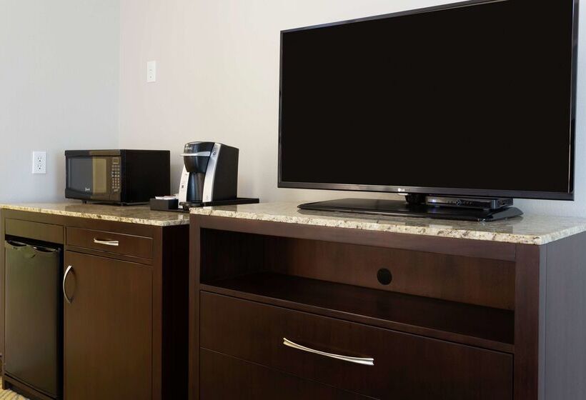 בית מלון כפרי Hilton Garden Inn Daytona Beach Oceanfront