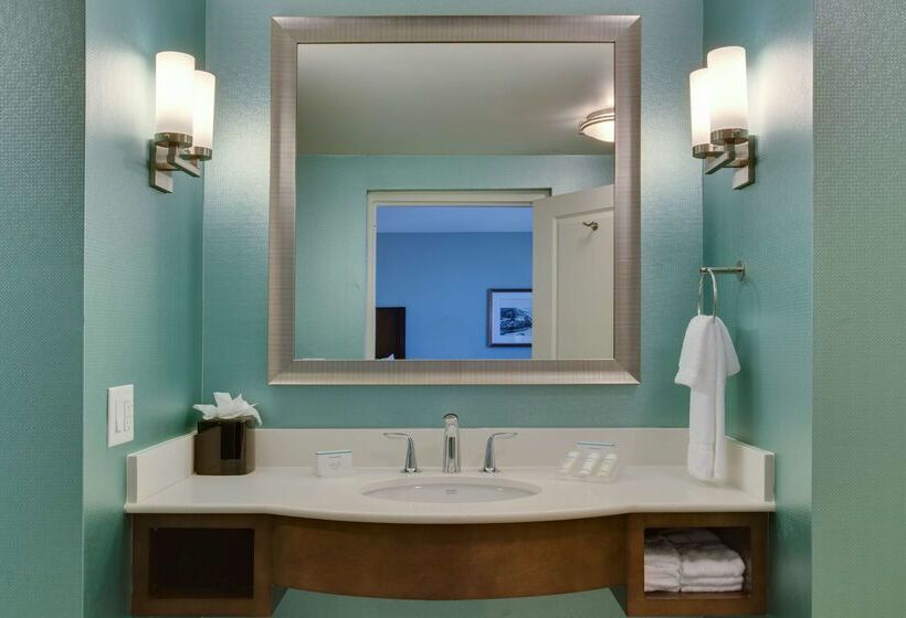 בית מלון כפרי Hilton Garden Inn Daytona Beach Oceanfront