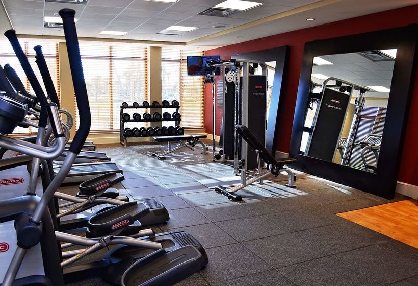 בית מלון כפרי Hilton Garden Inn Daytona Beach Oceanfront