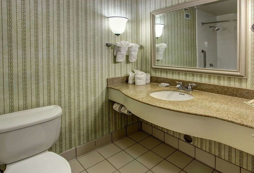 酒店 Hilton Garden Inn Williamsburg