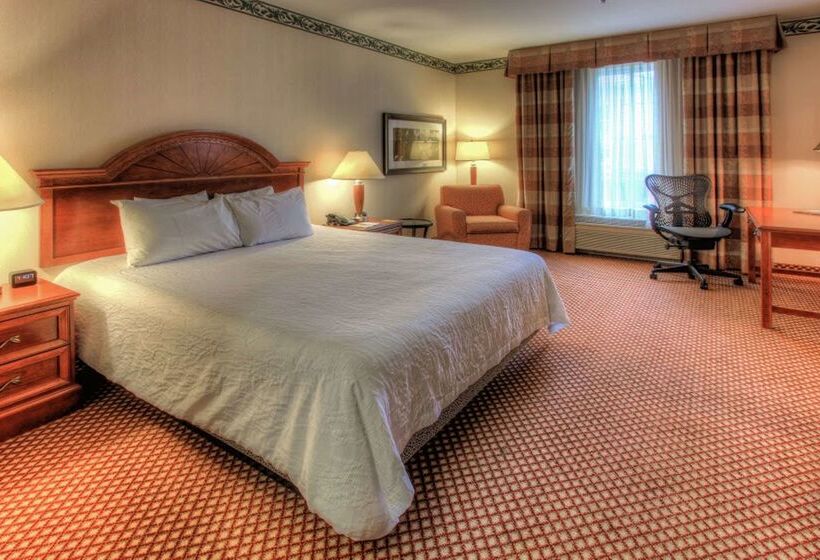 酒店 Hilton Garden Inn Williamsburg