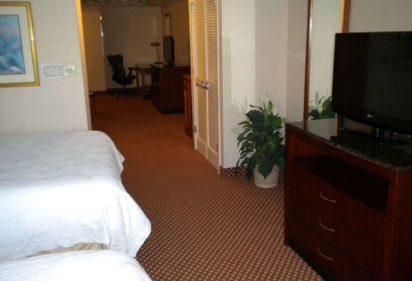 酒店 Hilton Garden Inn Williamsburg