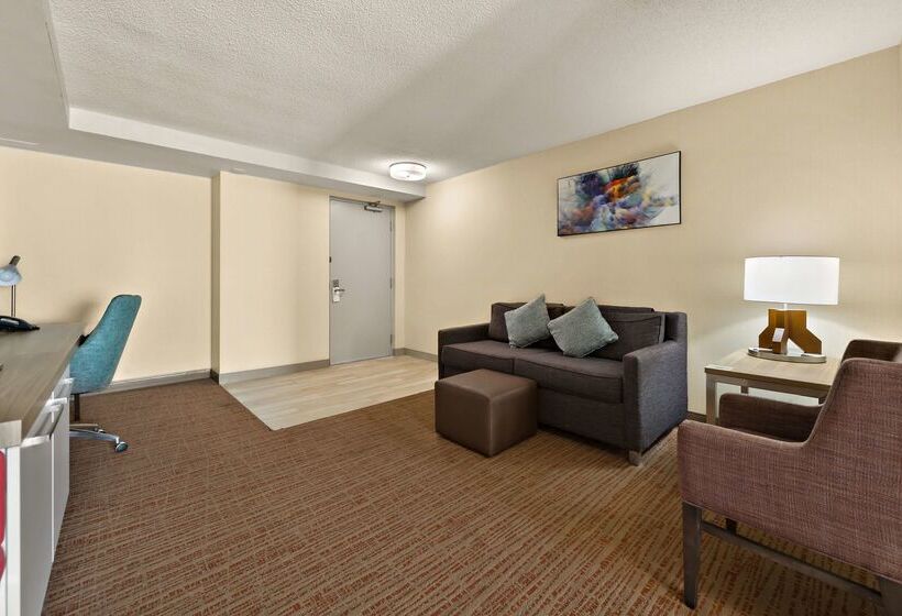 酒店 Hilton Garden Inn Williamsburg