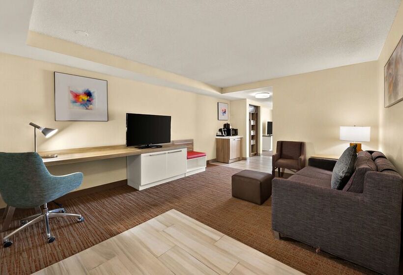 酒店 Hilton Garden Inn Williamsburg